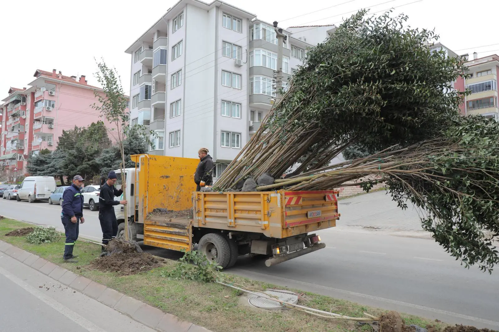 “YEŞİL EDİRNE” VİZYONU ŞEHRİ ADIM ADIM DÖNÜŞTÜRÜYOR galeri görseli